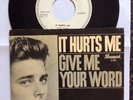 Schallplatte  Bobby Sherman: It hurts me  Weißmuster  deutsche Brunswick 12293