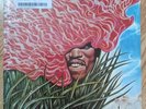 Jimi Hendrix Merry Christmas And Happy New Year 10