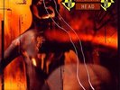 New Music Machine Head 