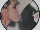 Blondie - Parallel Lines - schwarzer Rand   LP Picture Vinyl   Versandkosten?