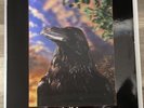 The Stranglers - The Raven - 12” Vinyl Album - Rare Hologram Sleeve - Punk