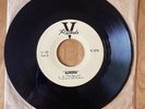 1963 The Squires The Sultan b/w Aurora 7