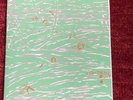 Lightning Bolt 2000 Tour 7” Screenprinted EP Vinyl NM
