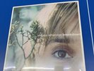Melissa Etheridge - Breakdown vinyl LP record With Bonus 7” Inch SET NEW SEALED
