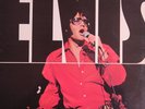 Elvis Presley Elvis MINT Australia RCA pressing 12'' vinyl Lp 1979 KING OF ROCK
