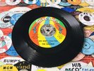 THE MALIBUS * GEE BABY (I Love You) *NM* WIGAN CASINO NORTHERN SOUL ️