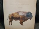 Heartless Bastards Arrow Vinyl NEW Sealed 2 LP 2012