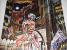 #619  Heavy Metal Hardrock Vinyl LP: IRON MAIDEN - SOMEWHERE IN TIME, SJ-12524
