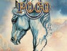 POCO - One Night In Nashville (2022 Purple Pyramid) Transparent Blue Vinyl - NEW