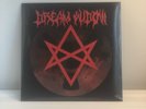 Dream Widow (Foo Fighters) LP RSD Black Friday 2022 Vinyle