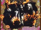 The Damn Truth Now Or Nowhere (Vinyl) (US IMPORT)