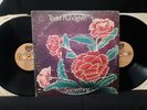 Todd Rundgren 