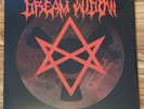 Dream Widow Foo Fighters Dave Grohl Taylor Hawkins RSD Black Friday 2022