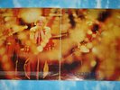 STEAMHAMMER-S/T-UK FIRST PRESS A1 B1