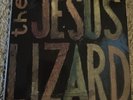 The Jesus Lizard 45 Vinyl Album