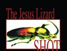 JESUS LIZARD - SHOT BF RSD 2022
