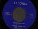 JORGE DARDEN: alone again / please don't stop the music LADONIA 7