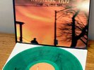 alkaline trio maybe ill catch fire green smoke Vinyl