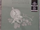 Knuckle Puck Copacetic Vinyl LP Newbury Butterfly New Limited