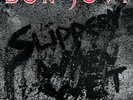 BON JOVI - Slippery When Wet - 180G LP - 0602547029218