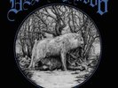Destroyer 666 ‎- Unchain The Wolves LP - Black Vinyl Album - Rare Metal Record