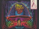 ALLMAN BROTHERS - Bear's Sonic Journals Fillmore East 1970 (PINK VINYL 2LP 2021)