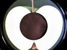 Beatles 45 Mystery Beatles Single with One Blank Label, STUNNING VINYL