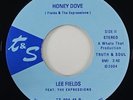 Lee Fields 