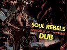 Bob Marley & The Wailers SOUL REBELS DUB Limited NEW COLORED VINYL RECORD LP