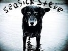 Seasick Steve - You Can't Teach An Old Dog New - New Vinyl Record VINY - X600A