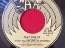 killer Lovers Rock WENDY ALLEYNE Dont Give Up 45 DYNAMICS 7
