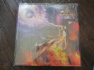 Stryper Fallen vinyl record