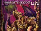 Nazareth: Hair Of The Dog: Live 1981 - zyx  - (Vinyl / Rock (Vinyl))