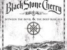 Black Stone Cherry - Between The Devil  The Deep Blue Sea - Used Vin - X7685A