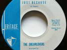 DREAMLOVERS 45 When We Get Married / Just Because HERITAGE doowop VG++   Kz 1057