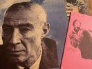 Protomartyr No Passion All Technique Blue White Vinyl Zine