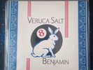 Veruca Salt band, Benjamin single on vinyl RARE