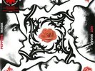 Red Hot Chili Peppers - Blood Sugar Sex Magik