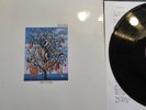 TALK TALK SPIRIT OF EDEN Vinyl LP 12