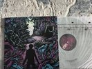 A Day To Remember - Homesick (Vinyl LP Victory Records VR448-1) Colored Vinyl