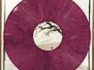 CHUCK RAGAN feast LP no idea hot water music alkaline trio springsteen