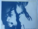 SINGERS & PLAYERS Vinyl LP Leaps & Bounds 1984 reggae dub Rare tested soul HTF