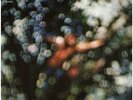 Pink Floyd Obscured By Clouds ITALIAN PRESSING Harvest Vinyl LP