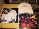 David Sylvian - Dead Bees In A Cake - 2x12”lp 2018 Ex/nr.mint White Vinyl
