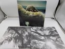 Beyonce -Lemonade (Double Yellow Vinyl LP) 180g