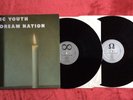 Sonic Youth ‎– Daydream Nation Vinyl LP