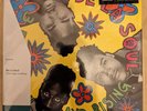 De La Soul 3 Feet High & Rising vinyl New Unplayed VMP Splatter Sealed With Obi