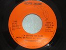 RARE FLORIDA SOUL THE SIGNIFICANTS ( I'M LOVING TO HARD ) on ALESVER'S