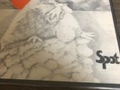 SPOT 