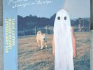 Phoebe Bridgers - Stranger In The Alps GALAXY COLORED Vinyl LP 5th Anniversary